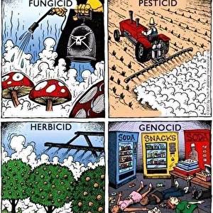 SAVREMENA PROIZVODNJA HRANE