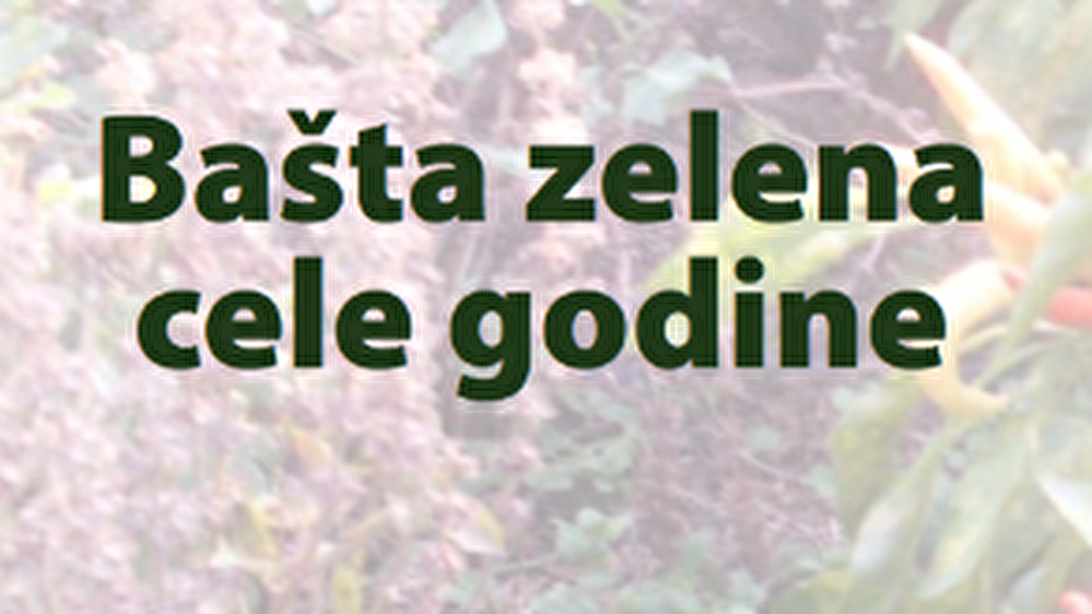 Screenshot_2019-08-11_Basta_zelene_cele_godine_pdf1.png